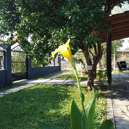 Ariadni Holiday home Asprovalta
